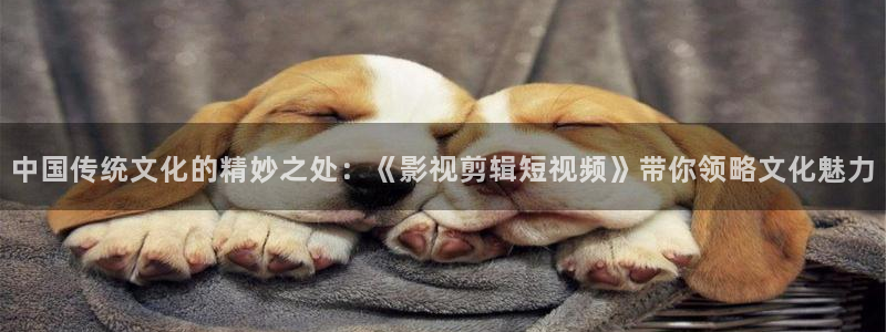 好好看影院：中國傳統(tǒng)文化的精妙之處：《影視剪輯短視頻》帶你領略文化魅力